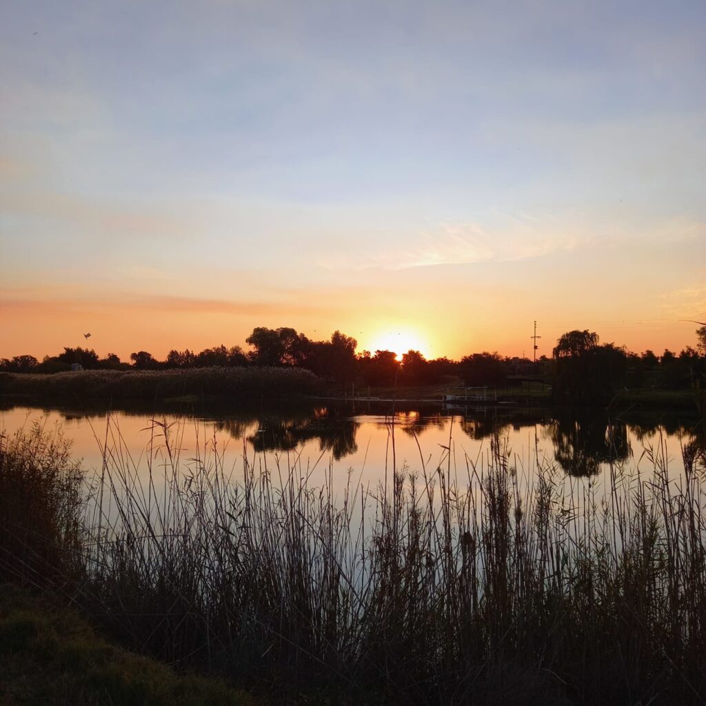 Rof&Stof Padlangs Guest Farm